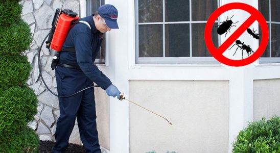 Lice Bit İlaçlama böcek ilaçlama ve haşere kontrolü — ilaclama-tr.com